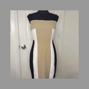 Sandra Darren Colorblock Cocktail Dress